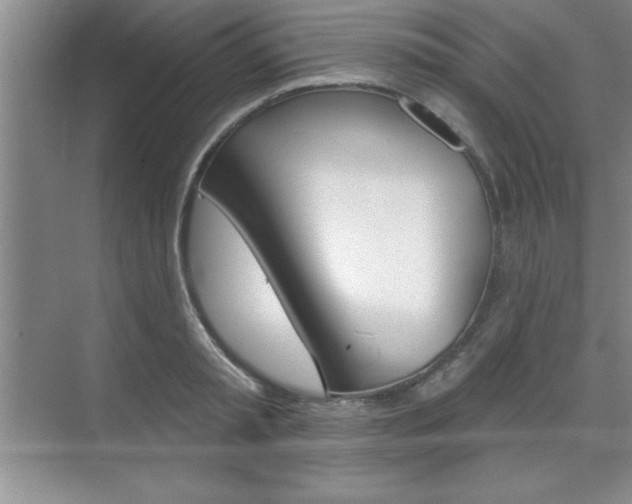 X0000073870797200608101105