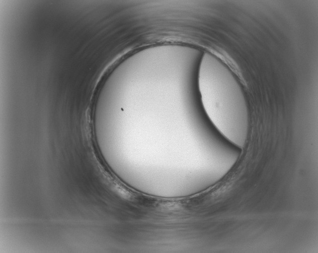 X0000073870798200608101105