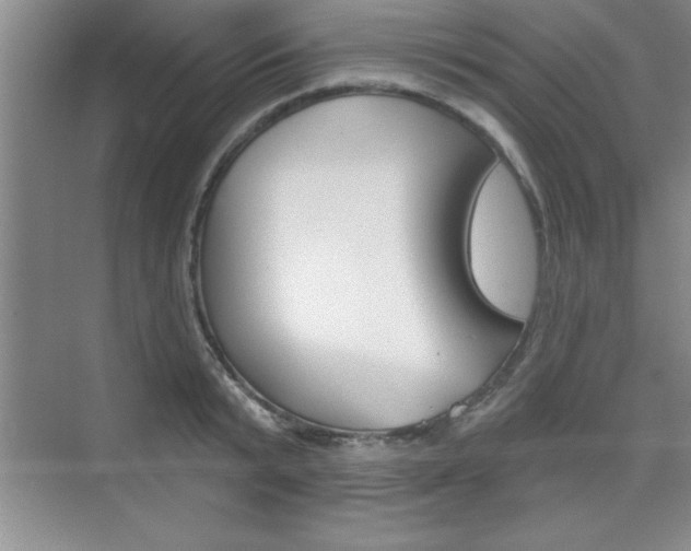 X0000073870799200608101105