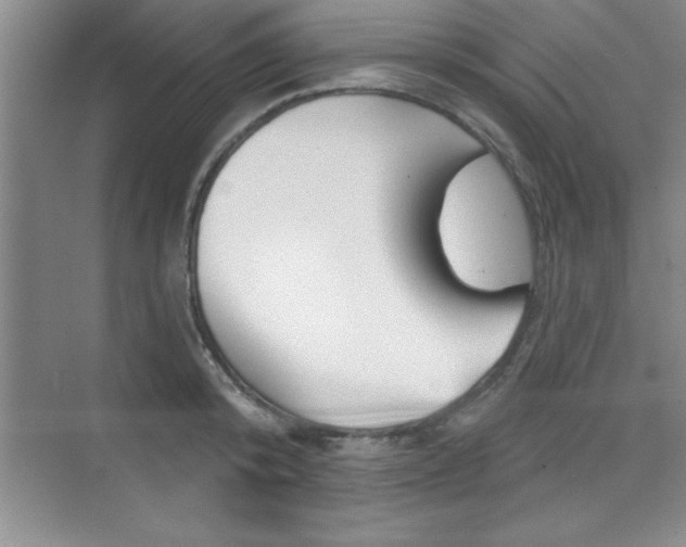 X0000073870800200608101105