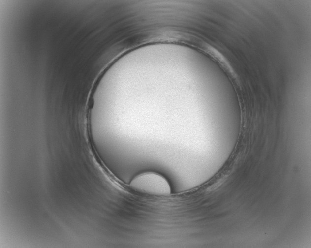 X0000073870802200608101105