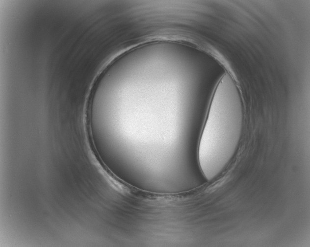 X0000073870803200608101105