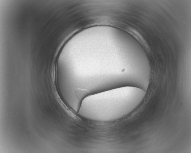 X0000073870804200608101105