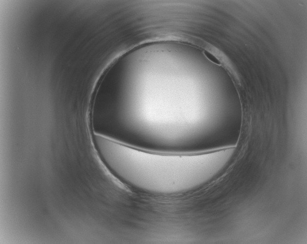 X0000073870805200608101105