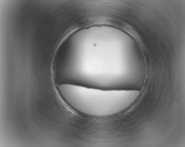 X0000073870806200608101105