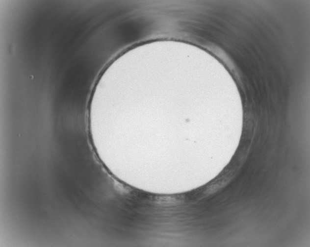 X0000073870807200608101105