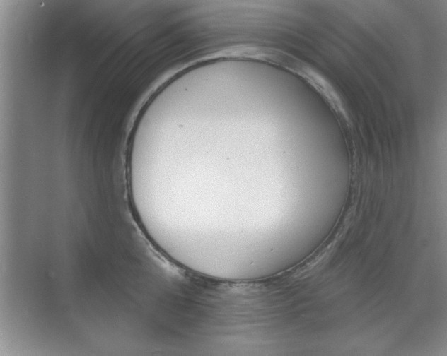 X0000073870808200608101105