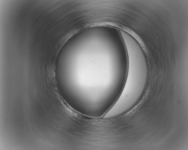 X0000073870809200608101105