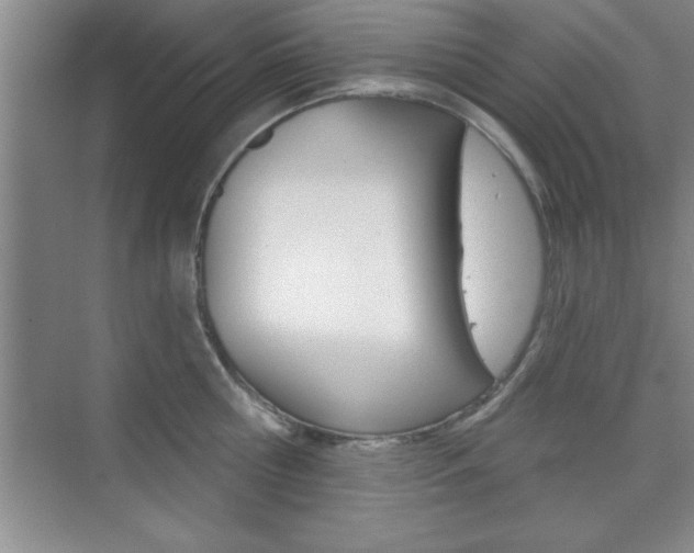 X0000073870810200608101105