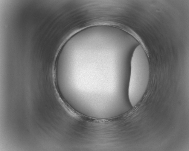 X0000073870811200608101105