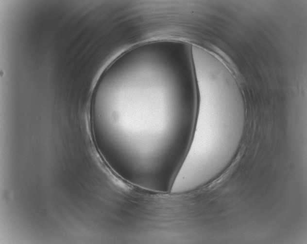 X0000073870812200608101105