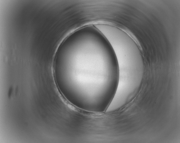 X0000073870813200608101105