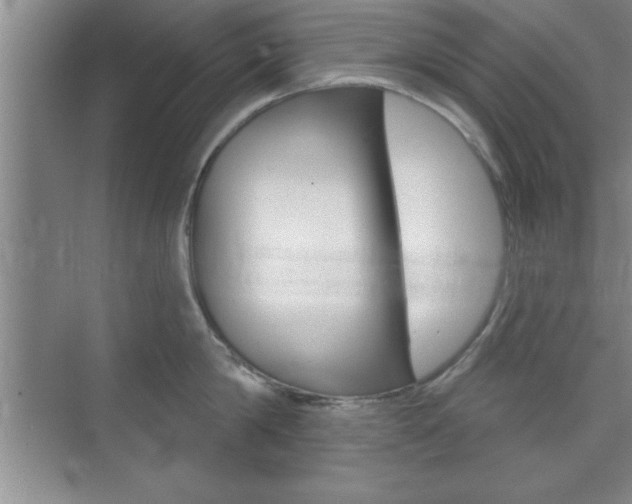 X0000073870814200608101105