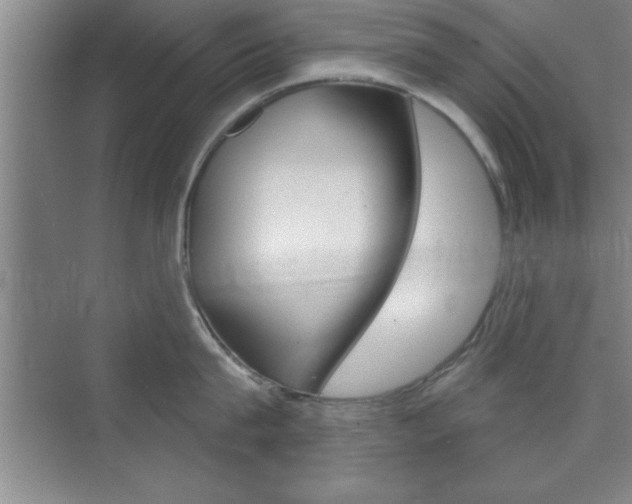 X0000073870815200608101105