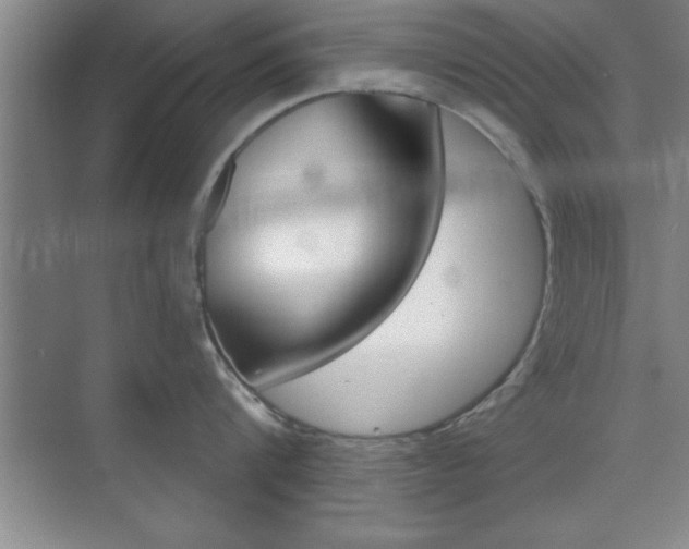 X0000073870816200608101105