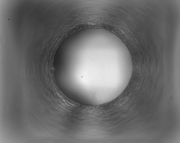 X0000073870817200608101104