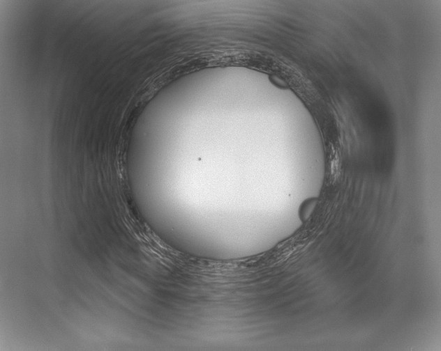 X0000073870819200608101104