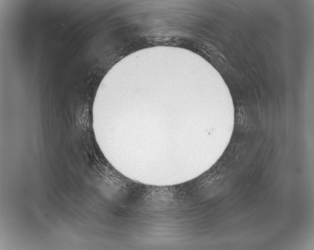 X0000073870820200608101104