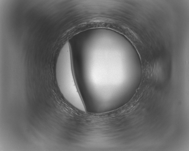 X0000073870821200608101104