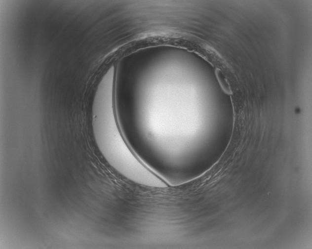 X0000073870822200608101104