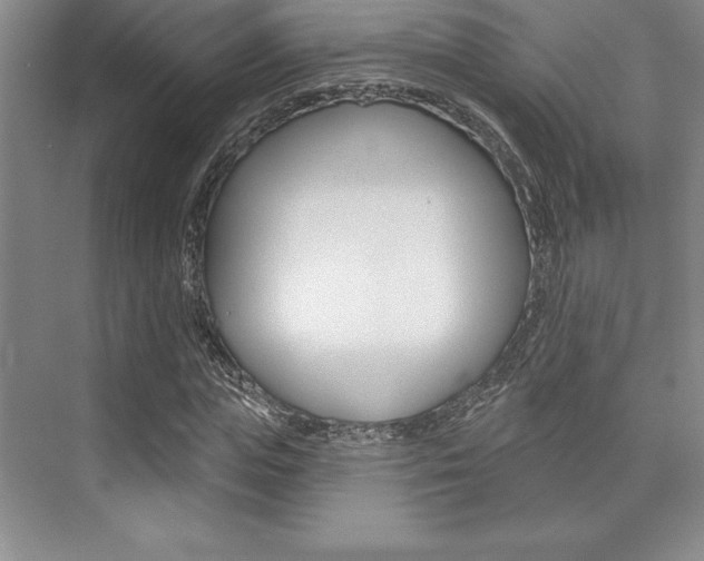 X0000073870823200608101104