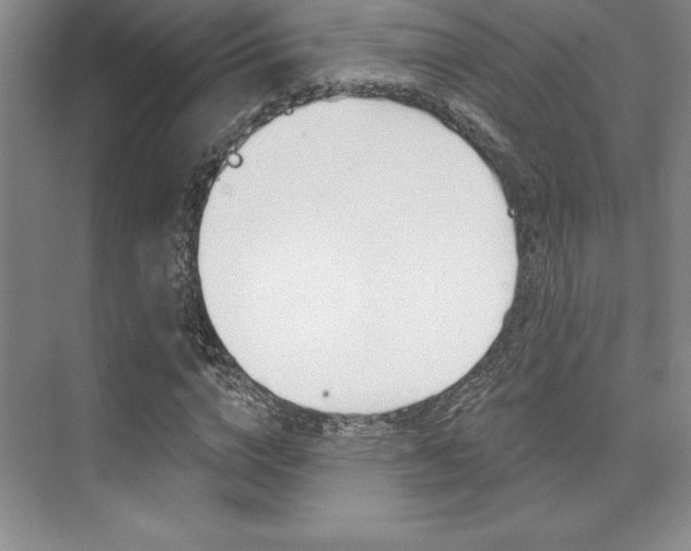 X0000073870824200608101104