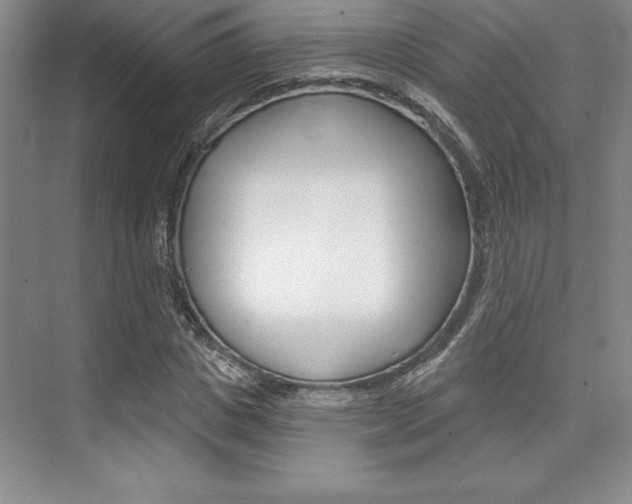 X0000073870825200608101104