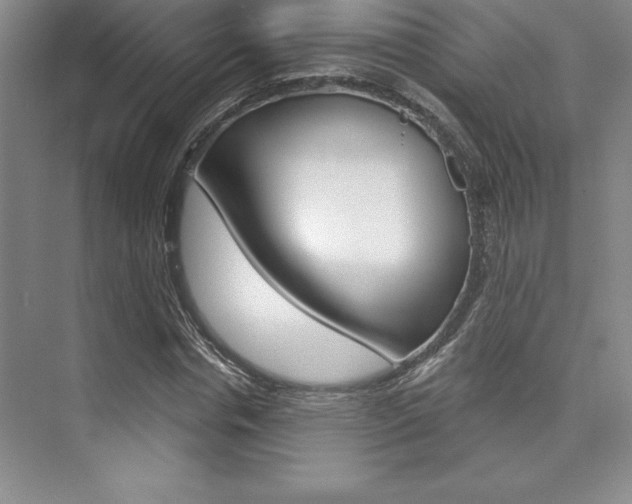 X0000073870826200608101104