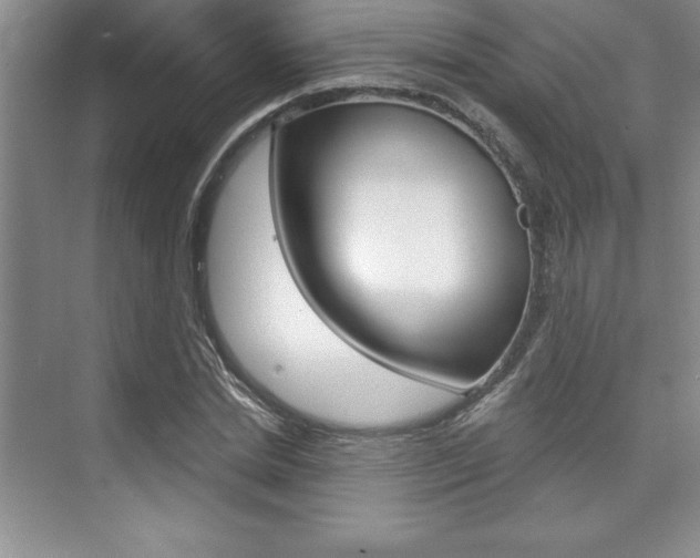 X0000073870830200608101104