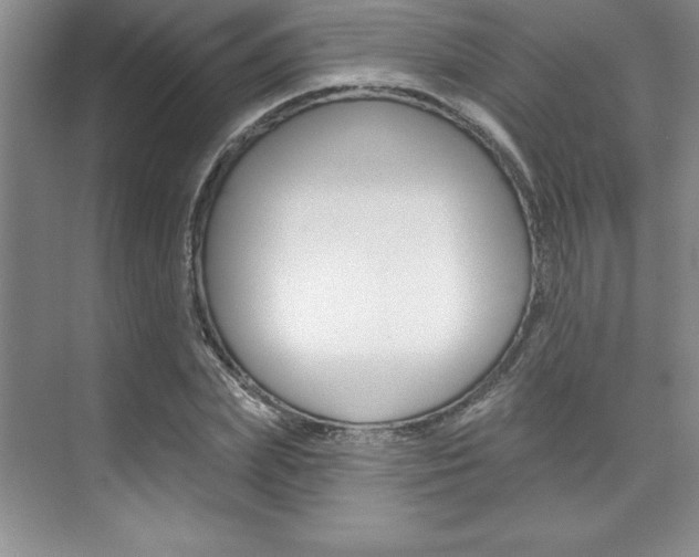 X0000073870831200608101105