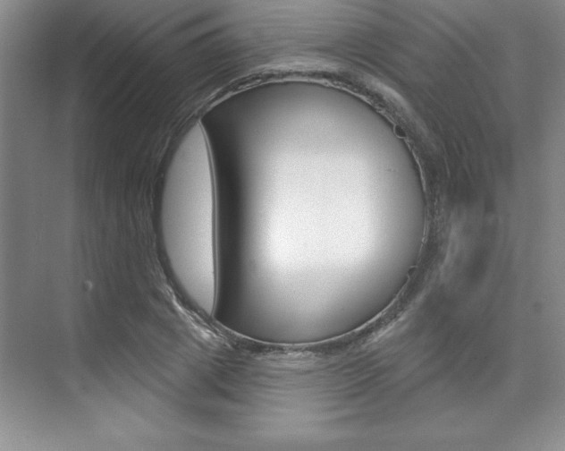 X0000073870833200608101105