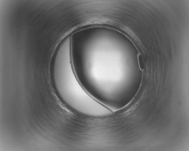 X0000073870834200608101105