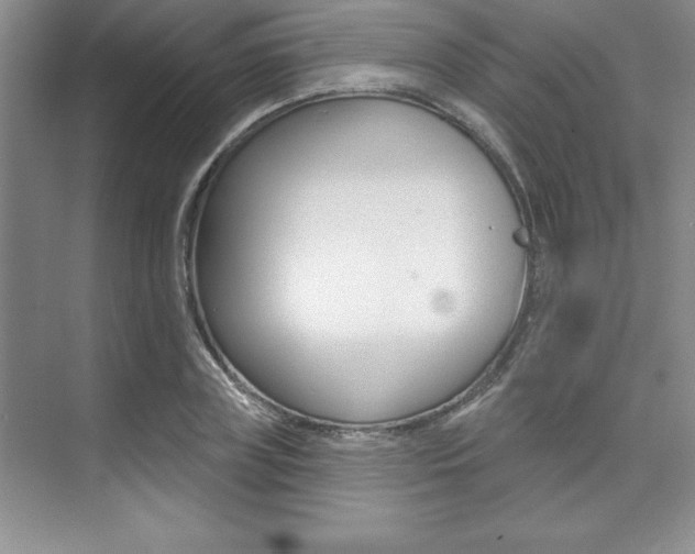 X0000073870835200608101105