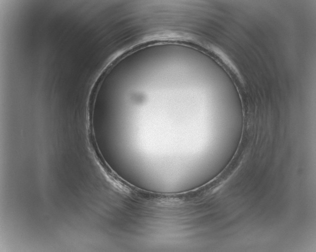 X0000073870837200608101105