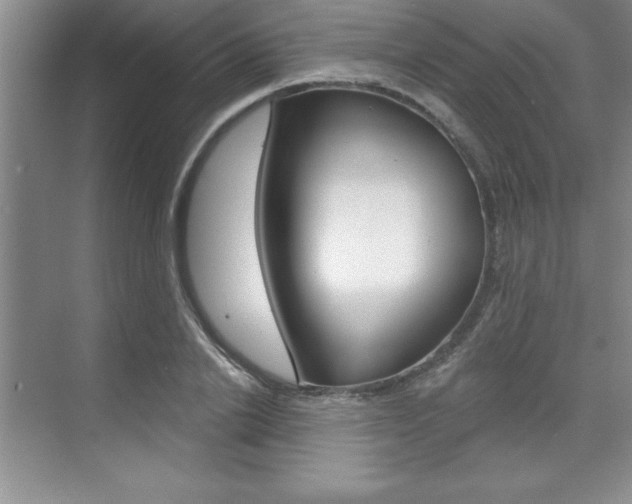 X0000073870838200608101105