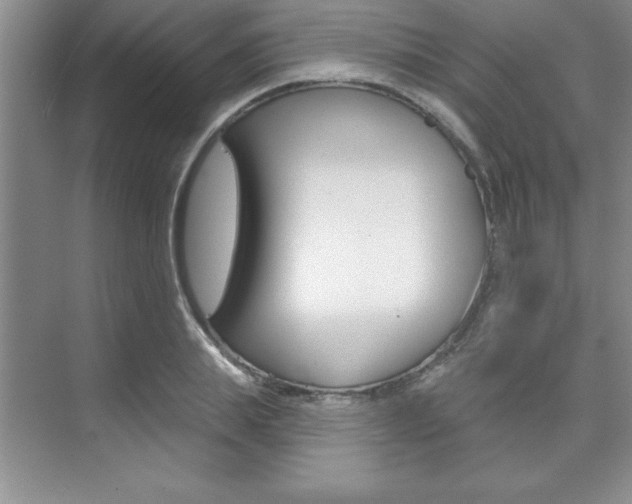 X0000073870839200608101105