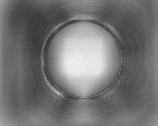 X0000073870840200608101105