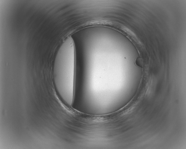 X0000073870841200608101105