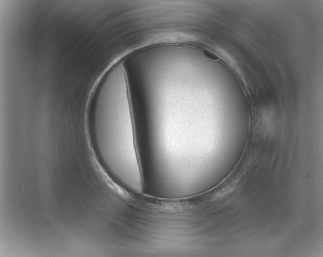 X0000073870843200608101105