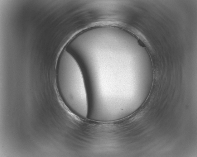 X0000073870844200608101105