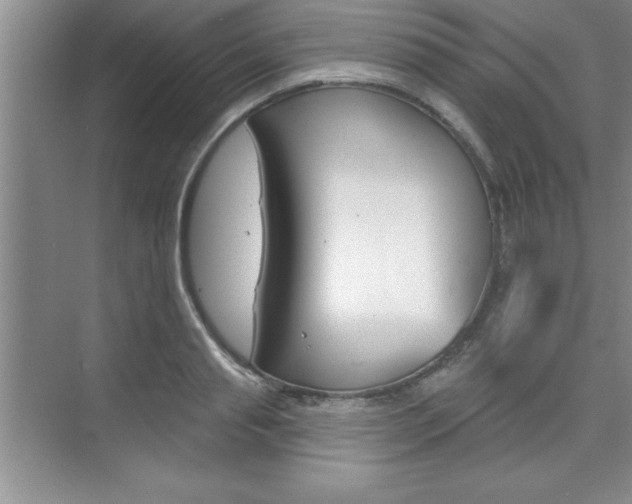 X0000073870845200608101105