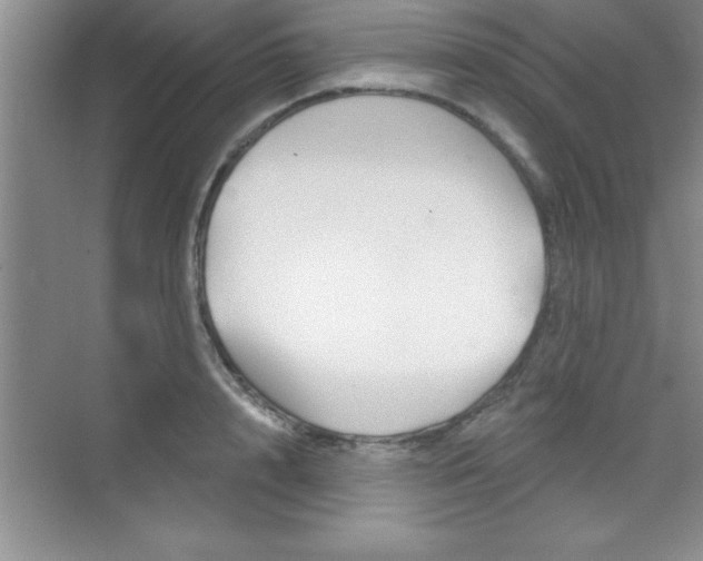 X0000073870848200608101105