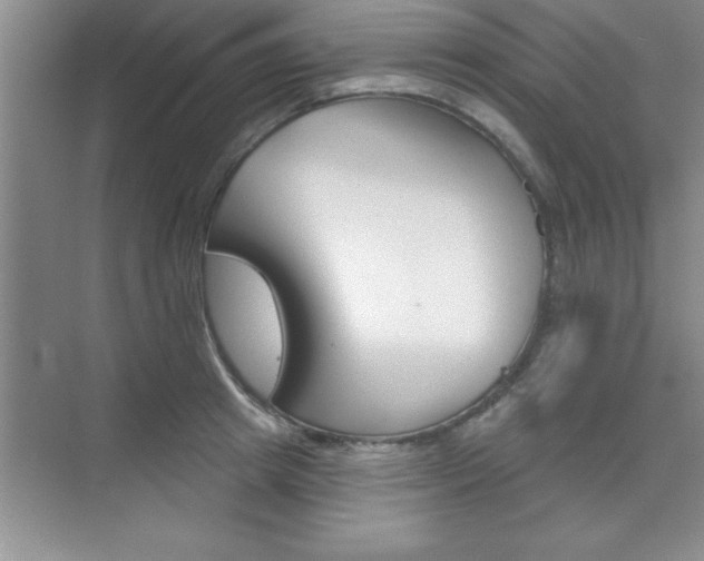 X0000073870849200608101105