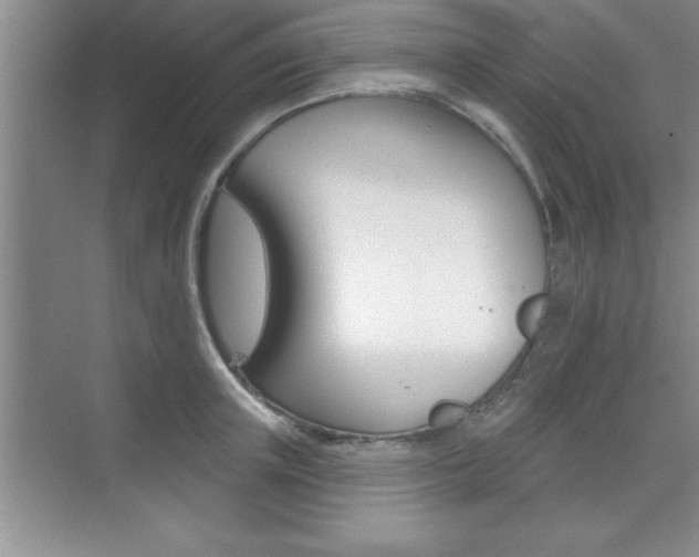 X0000073870851200608101105