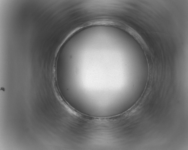 X0000073870852200608101105