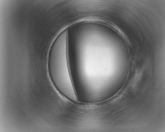 X0000073870853200608101105