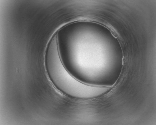 X0000073870854200608101105