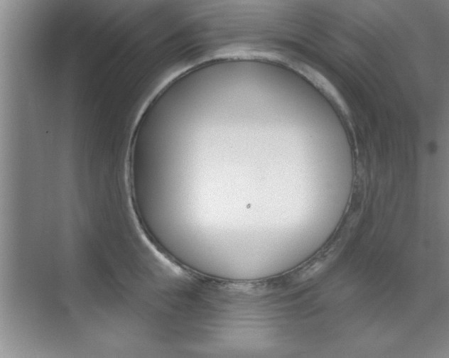 X0000073870855200608101105