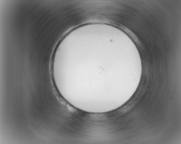 X0000073870856200608101105