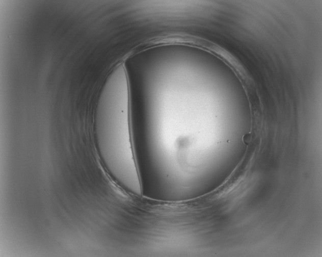 X0000073870857200608101105